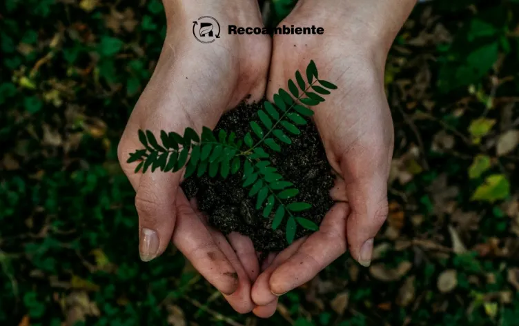 Recoambiente case study